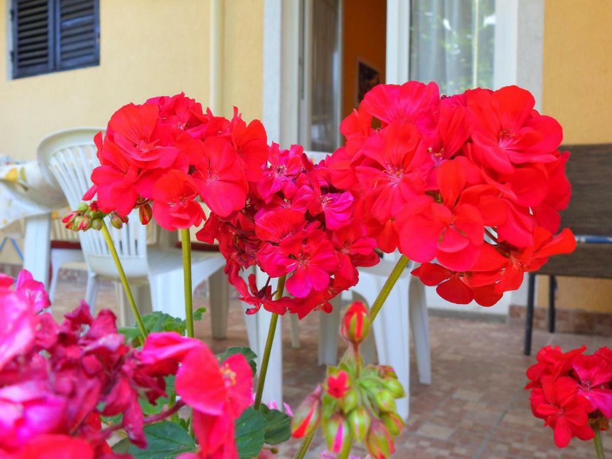 Apartment Girasole Rovinj Exteriör bild